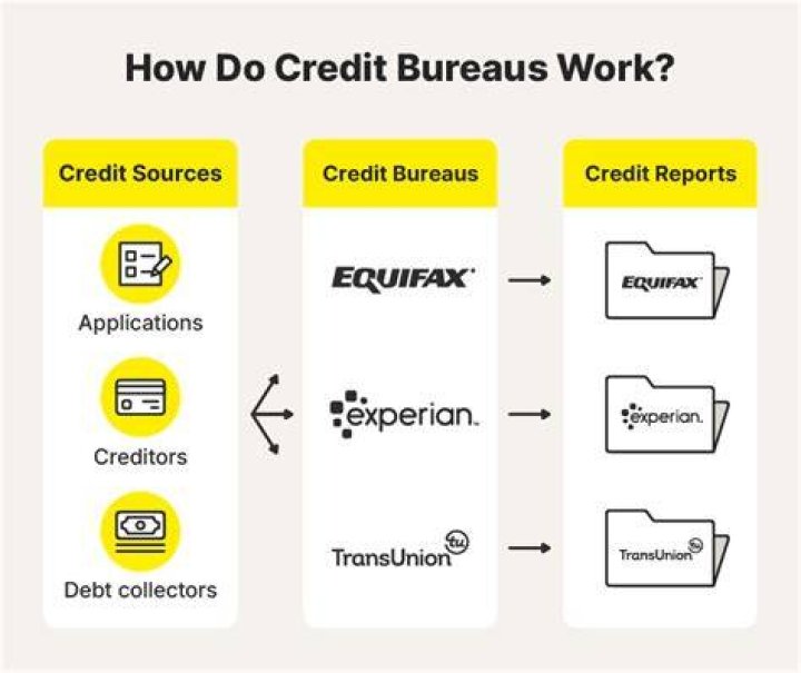 Are credit bureaus non profit?