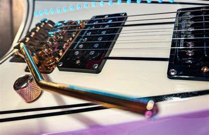 Can a whammy bar work?