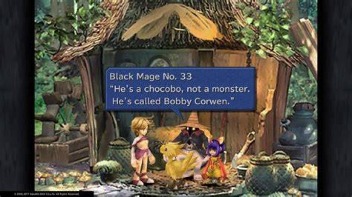 Did vivi die at the end of ff9?
