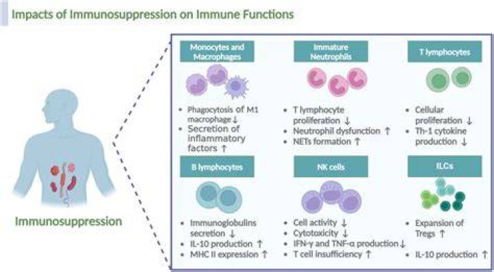 Does immunosuppressants cause cancer?
