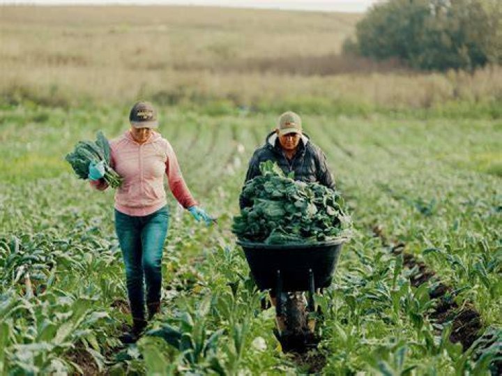How harvesting is useful?