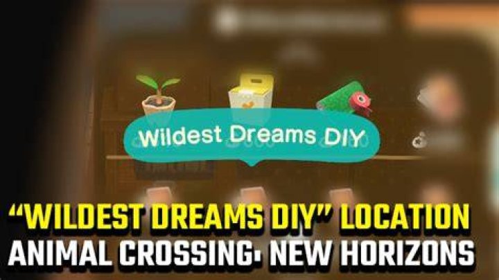 What's wildest dreams diy?