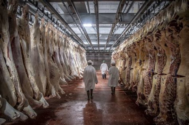 What do slaughterhouses do with the waste?