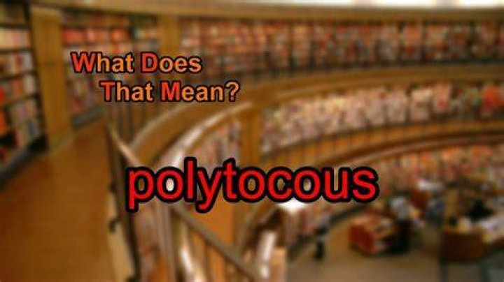 What does polytocous mean?