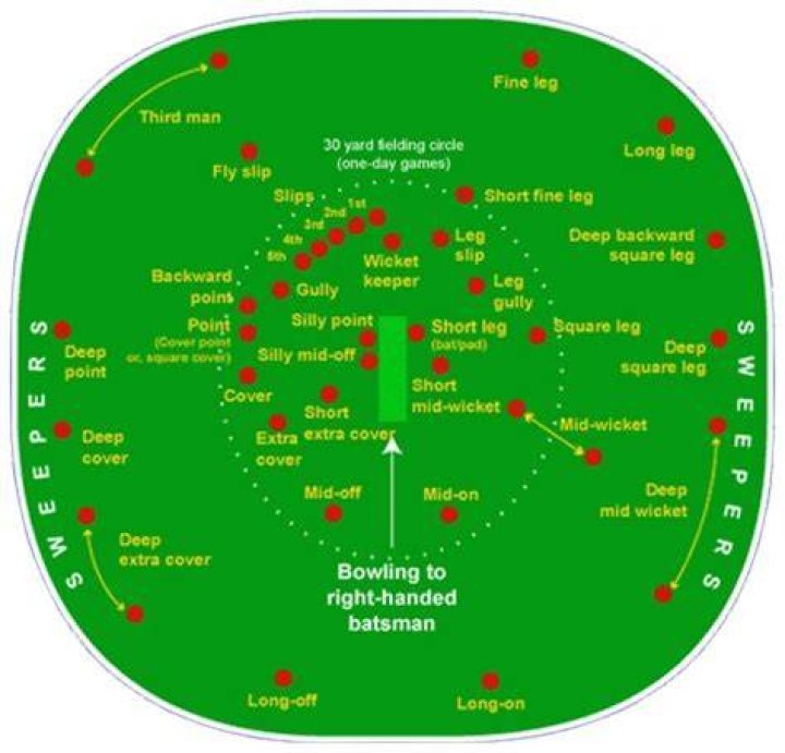 What is silly mid off in cricket?