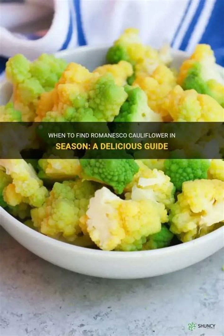 When cauliflower in season?
