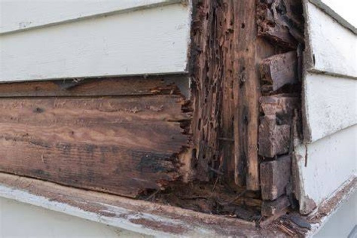 When to replace rotted wood?