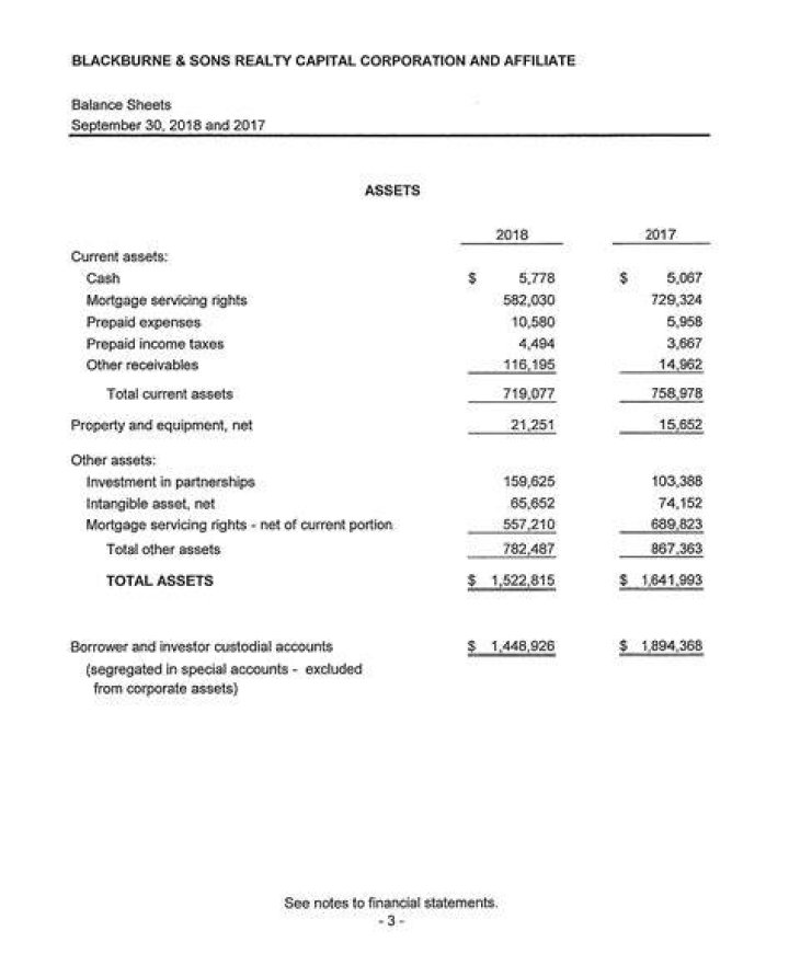 Who audited financial statements?